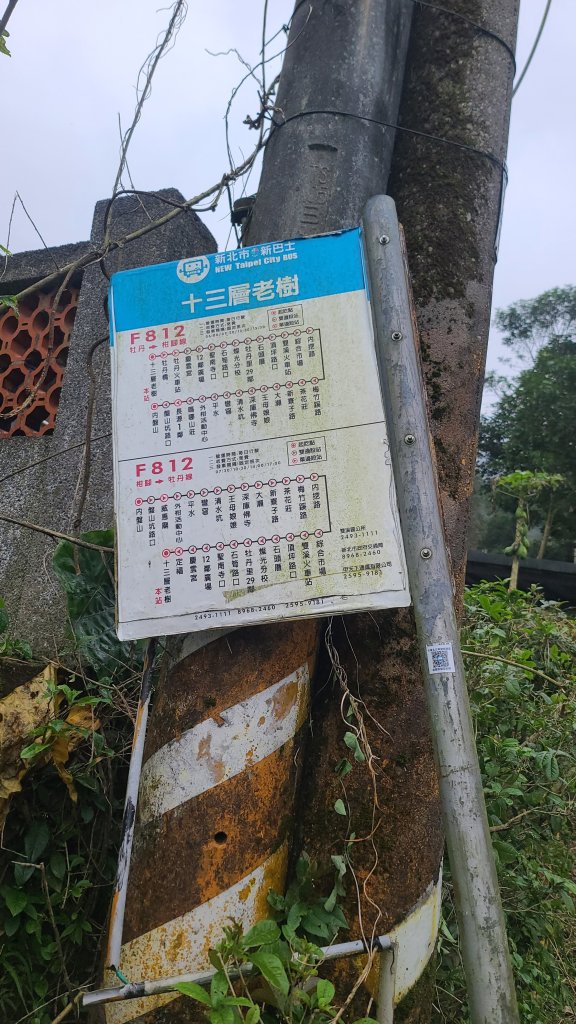 2025-01232淡蘭古道北二段(燦光寮古道到澳底)_2696547