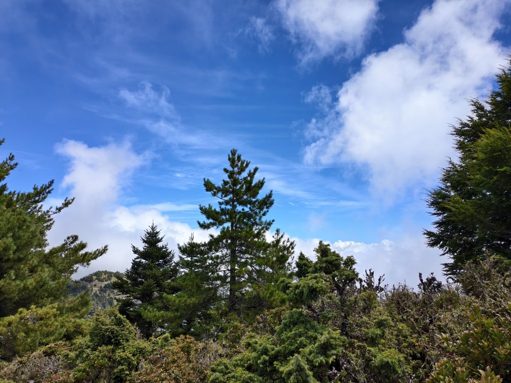 北一段(10/14)馬比杉山 2025_0906~13_2887135