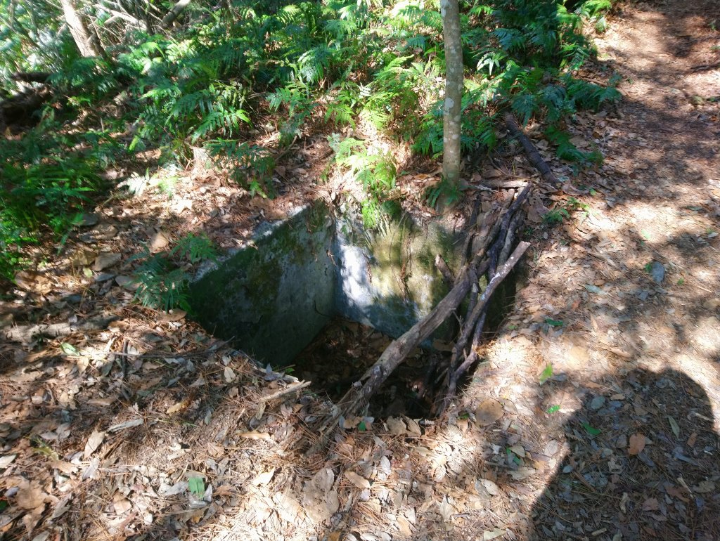 屋我尾山(麗陽線)_821183