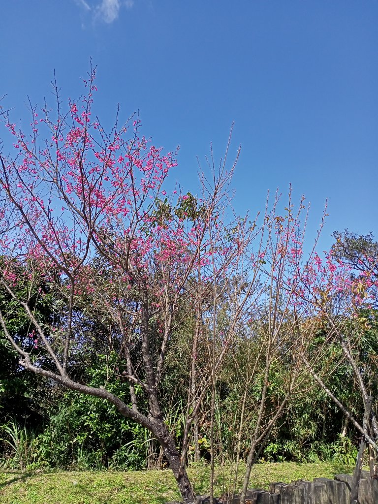 【基隆-臺灣百大步道】姜子寮山和泰安瀑布封面圖