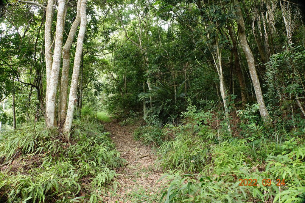 南投 國姓 眉冷山_1855248