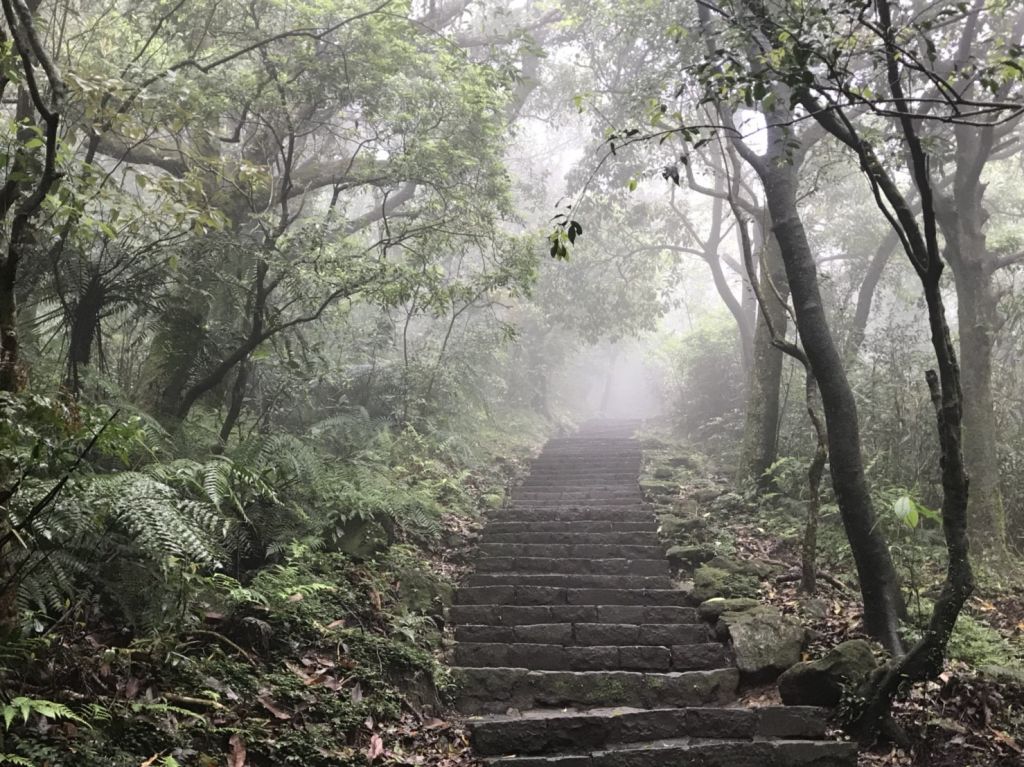 七星山(從苗圃上山)_340970