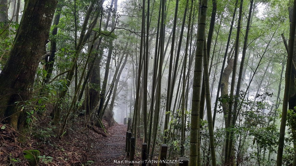 《雲林》望好望角｜石壁山嘉南雲峰步道(中側登山口）20250607_2805437