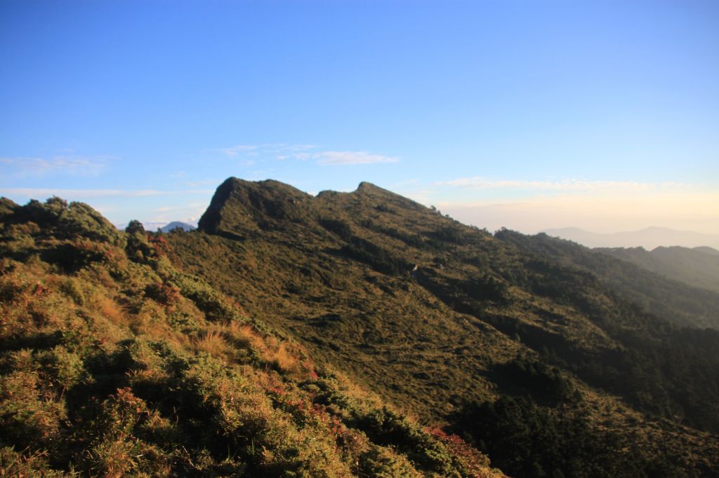 難開放的南一段_139623