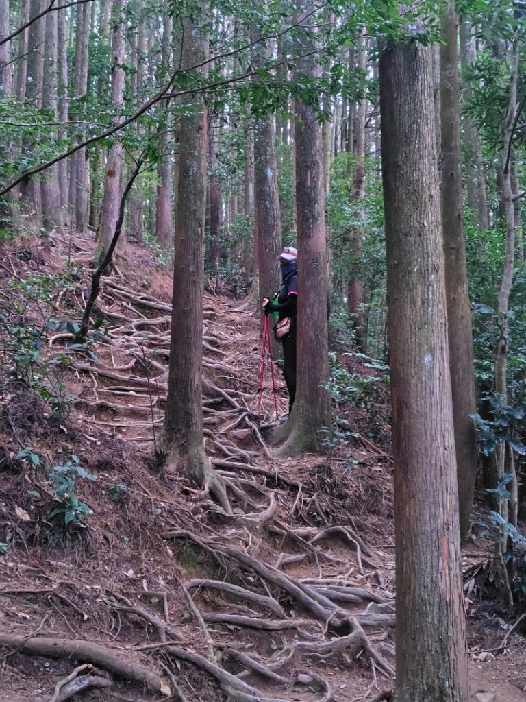 長壽山、肥崠山、醜崠山、大崠山、大崠山經建版_2931529