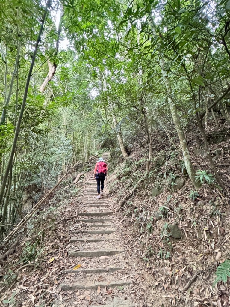鳴鳳山古道群走鳴鳳山 三湖山吃仙草冰封面圖