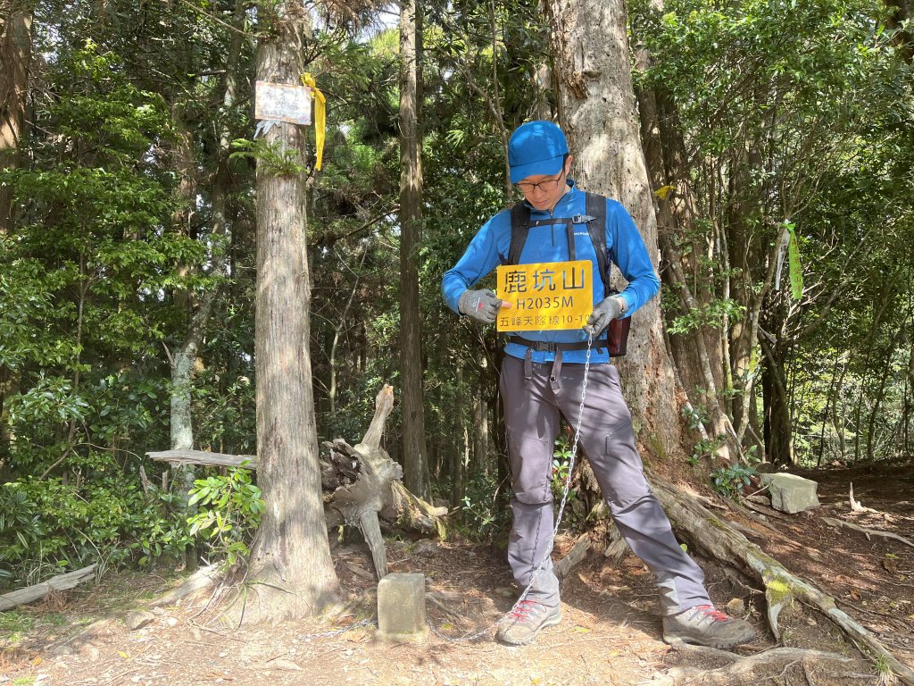 【樂山林道】鐵道遺跡、尤命神木、鹿坑山_1650777