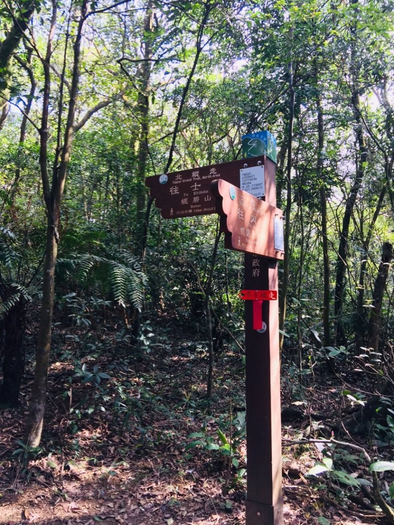 劍潭站到擎天崗11連峰_820362