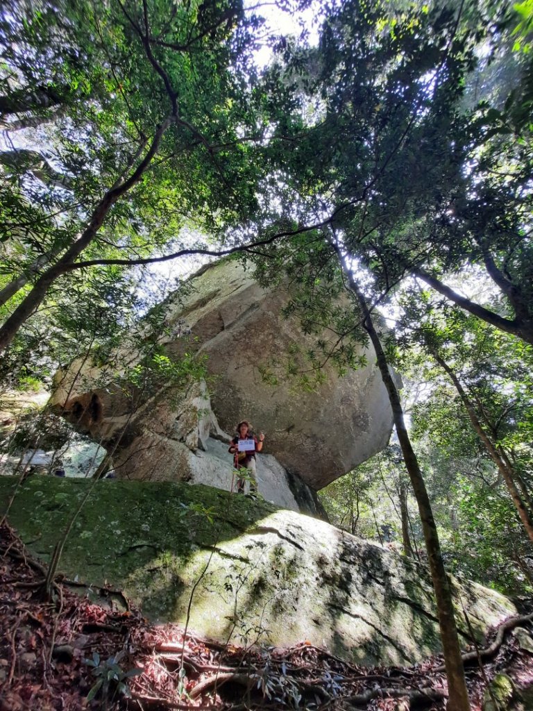 南庄加里山大坪大湳山麓封面圖