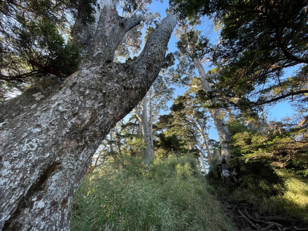 一日南橫二星人品爆發_2995772