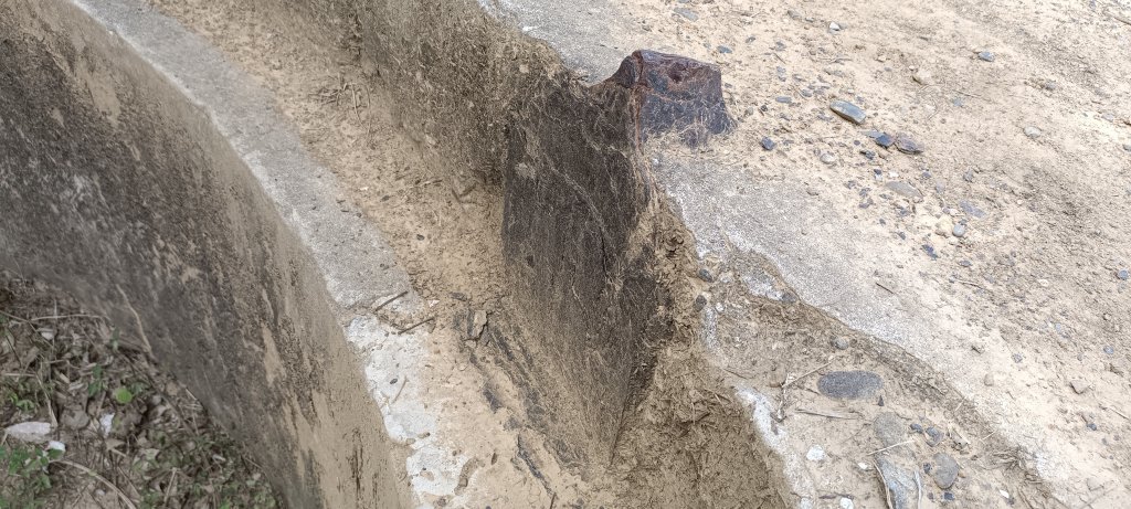 20230929_槓子寮山+砲台步道_2300838