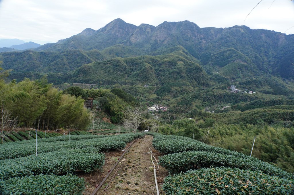 南投 鹿谷 大崙頭山、貓冬望山、樟空倫山、志騰山、竹崙山_2993344