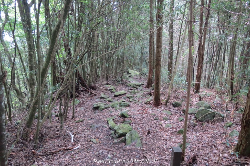 《台中》谷關七雄｜初登屋我尾山20170319_2890441