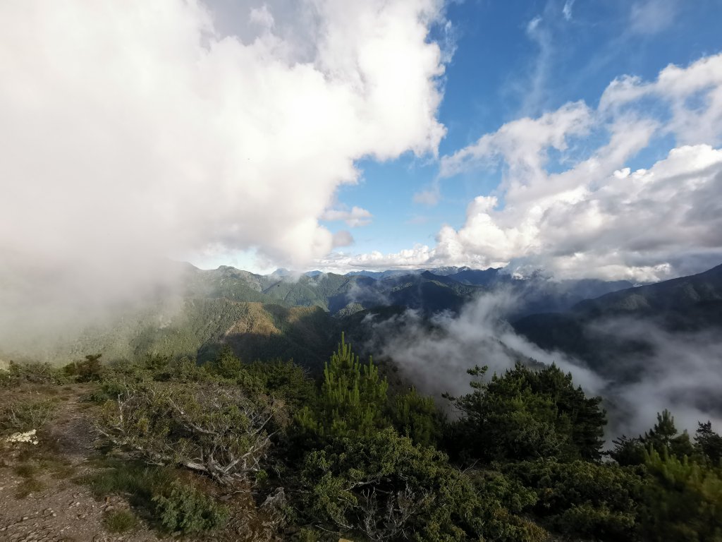 2022-07-21八大秀_1789138