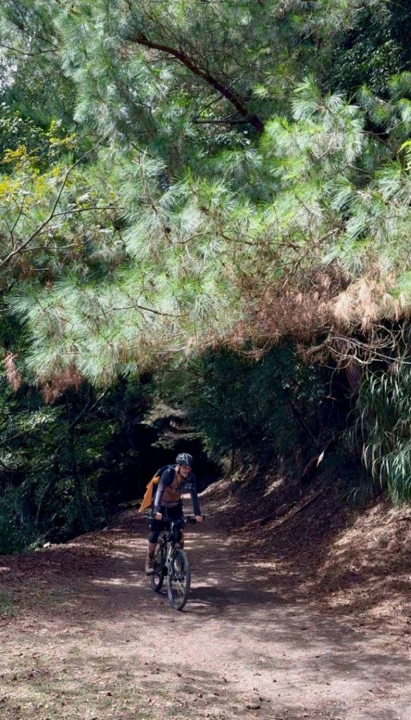 20251014雪見遊憩區 🚴‍♂️咖搭車走司馬限林道上東洗水山兩刷北坑山至大板根_2916384