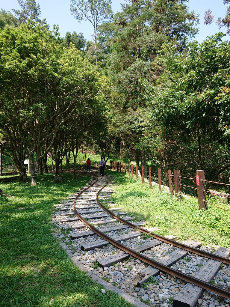 八仙山國家森林遊樂區_1477385