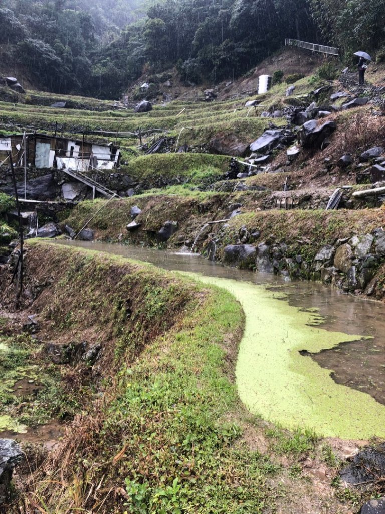 聖人瀑布、坪頂古圳步道、大崎頭步道_1661876