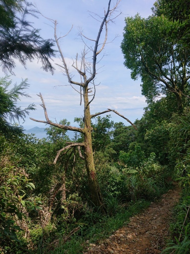 淡蘭古道石空聚落舊址、太和山O走_1434126