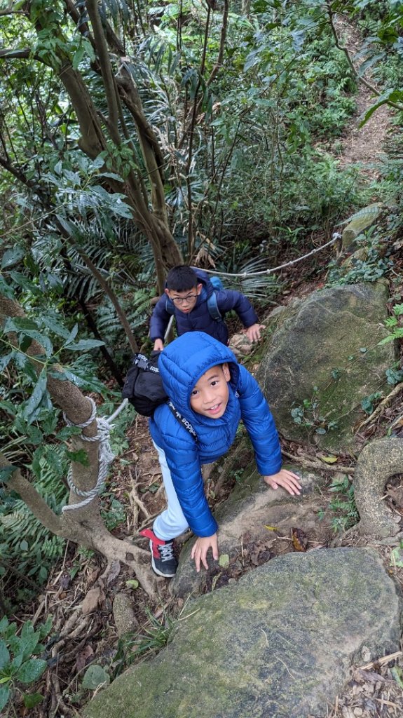 桃園金面山_2380842