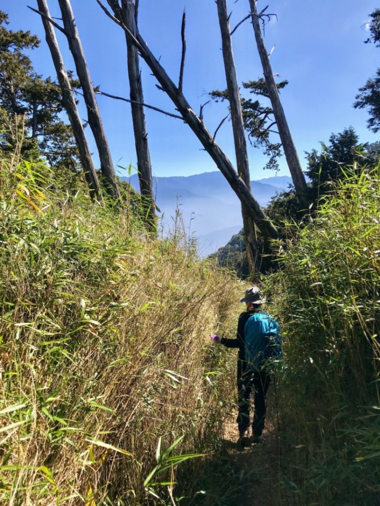 守關守城走大山_1187018