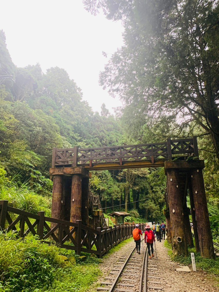 神木村-阿里山】神阿縱走_1856933