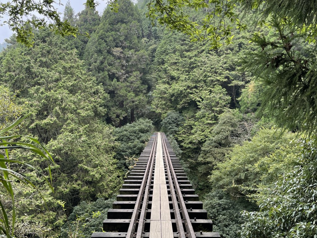 【嘉義】眠月線｜消失的鐵路｜入門級登山露營路線_1589465