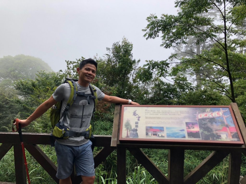 阿里山神木群棧道【挑戰玉山前的暖身之旅】_635111