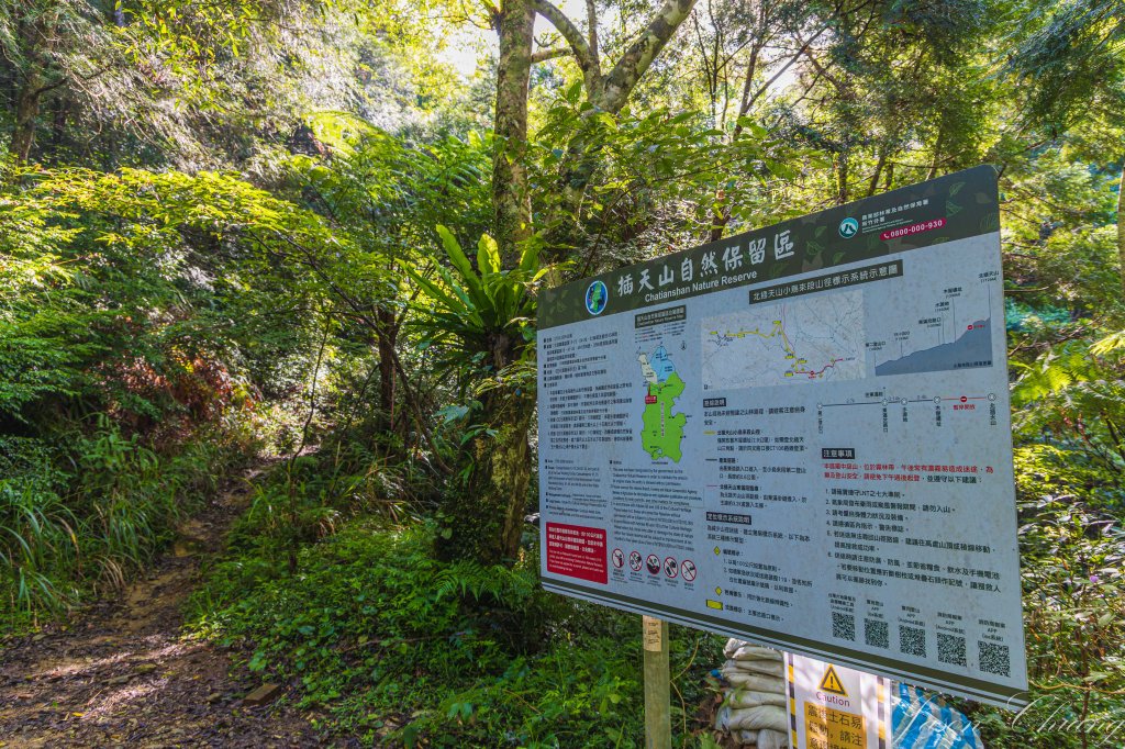 [桃園]北插天山磨練之旅_2532883