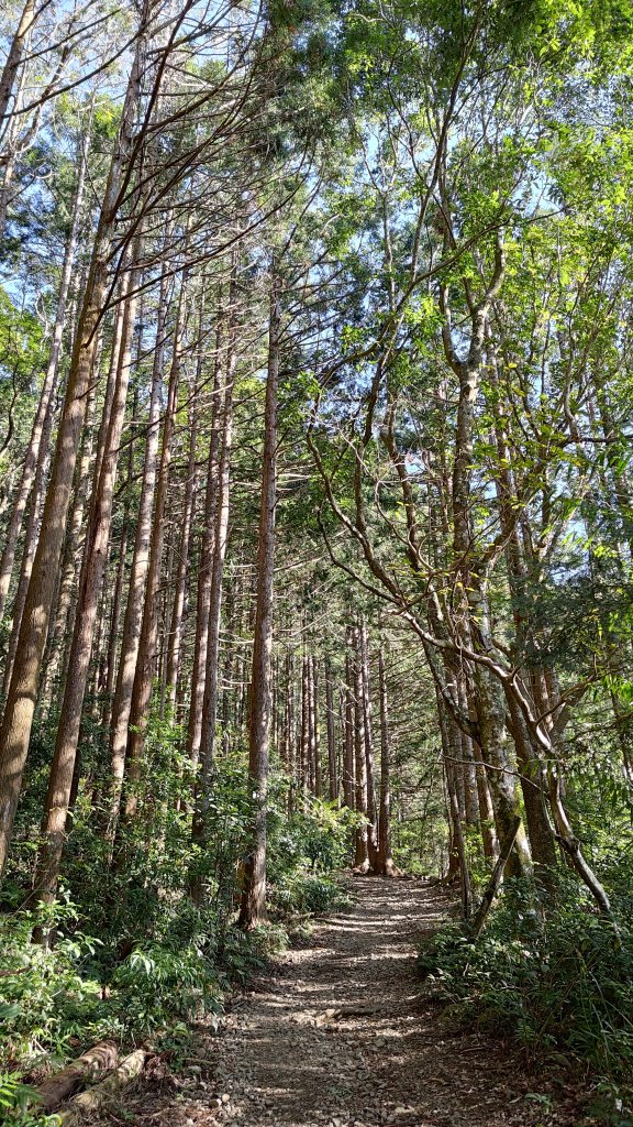 長壽山_2678038