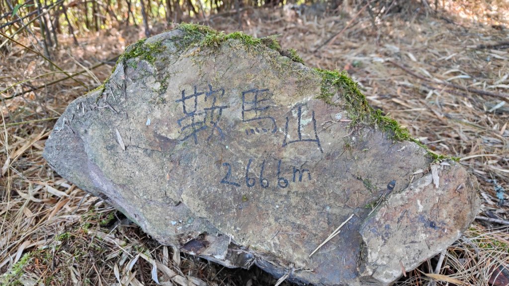 波鞍船稍G屋東_2688225