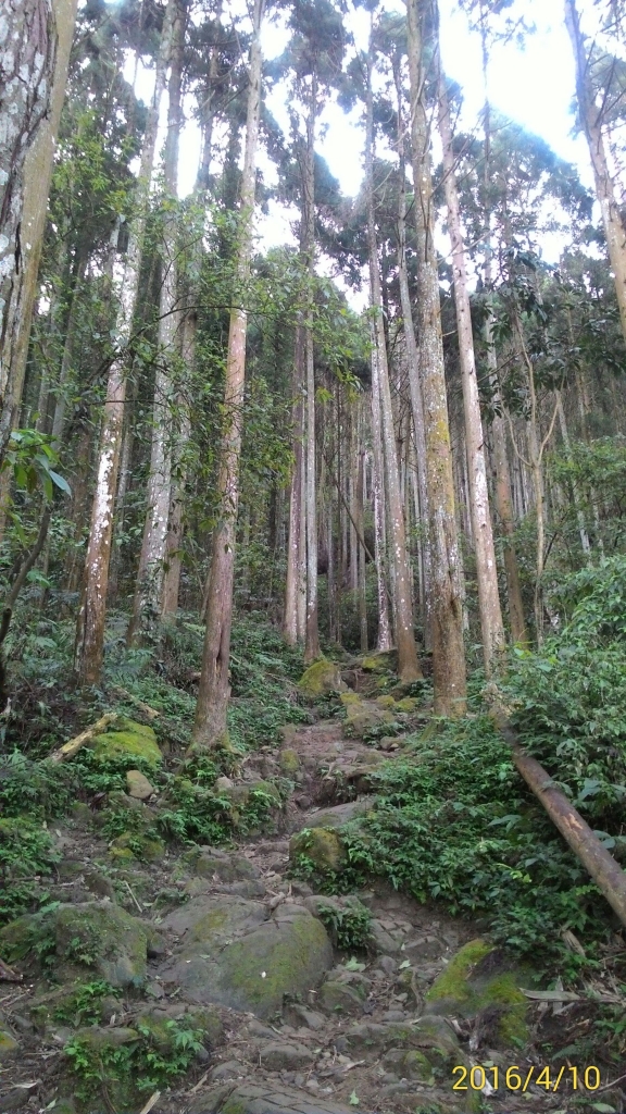 20160410新竹五指山_34465