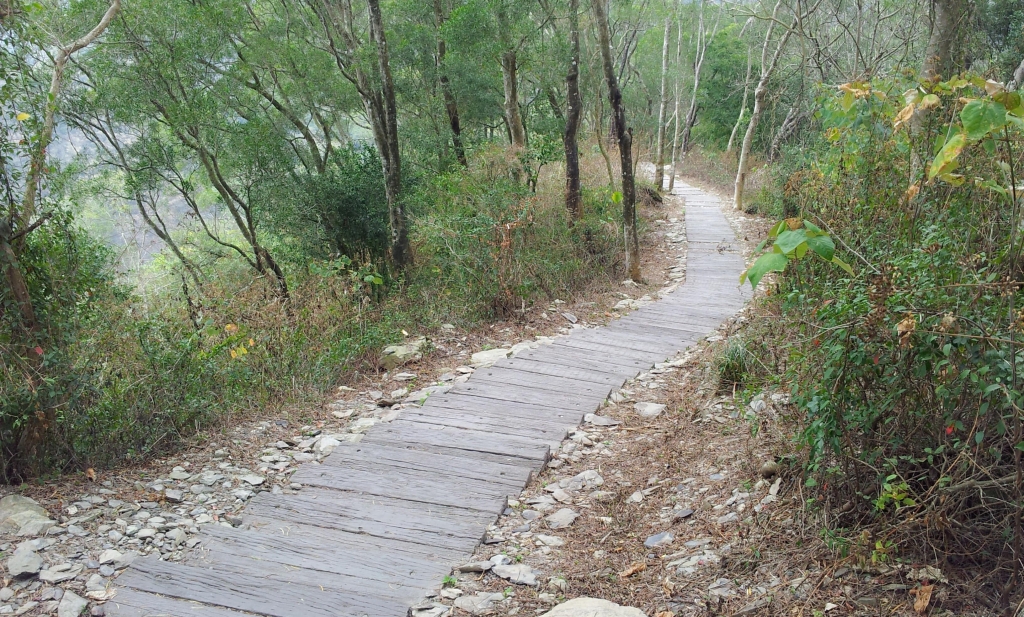 【春夏之際】茂林龍頭山_18745