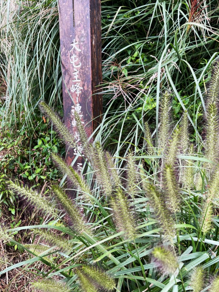 臺北大縱走2：二子坪到小油坑_1486909