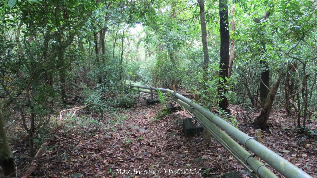 《苗栗》桐花茶園｜四月雪小徑登慈濟山三義山20250427_2771295