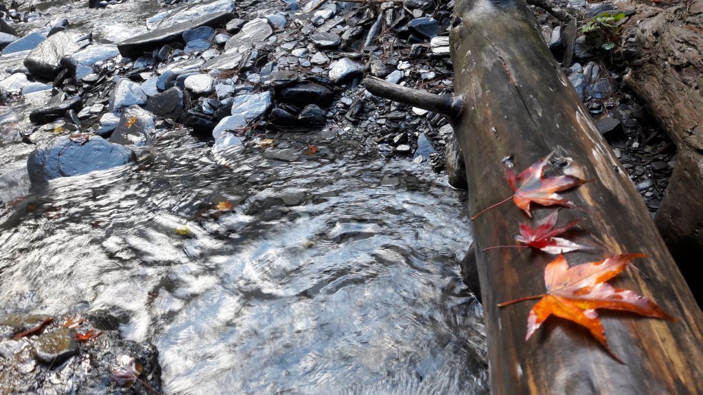 楓之谷~天巒池~武法奈尾山_497519