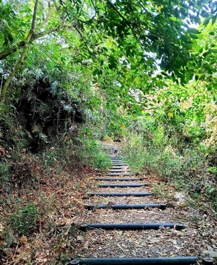 〔旗津〕旗後山 龍磐公園 埔頂山 龜山步道 最南點 社頂 鵝鑾鼻  綠島小長城步道 牛頭山 水火同源_2249044
