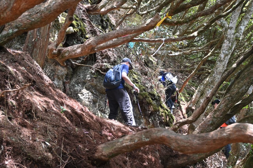 中級山-高島縱走_2888365