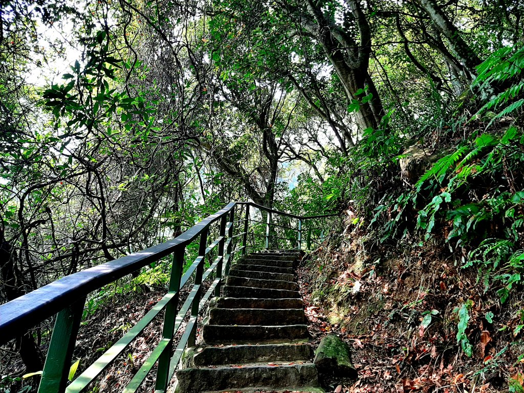 臺北大縱走4｜大湖公園捷運站至風櫃嘴_2472277