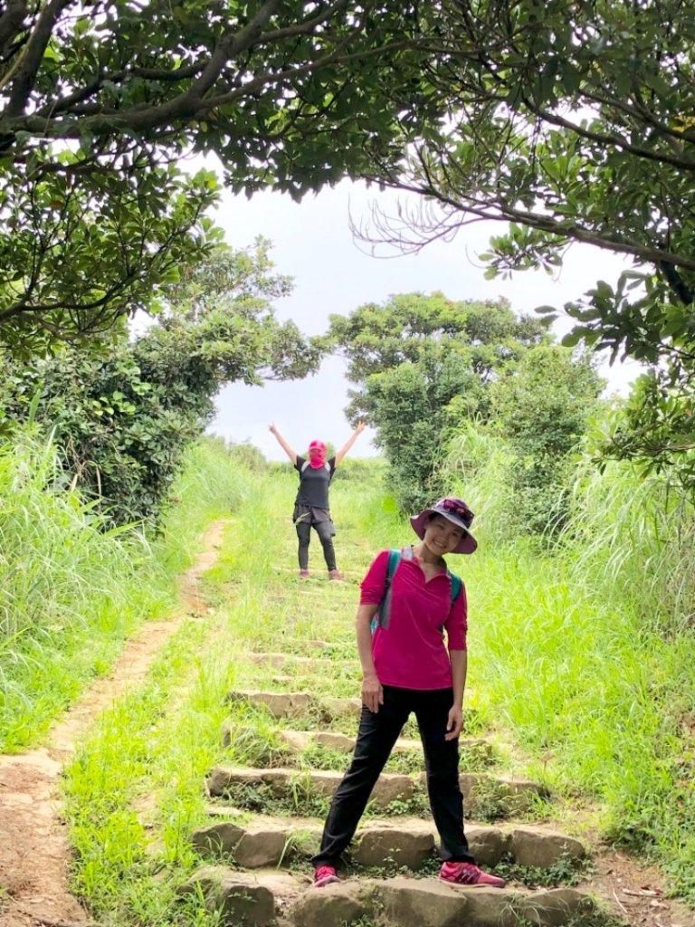 2019-06-05瑞芳南子杏登山步道_598527