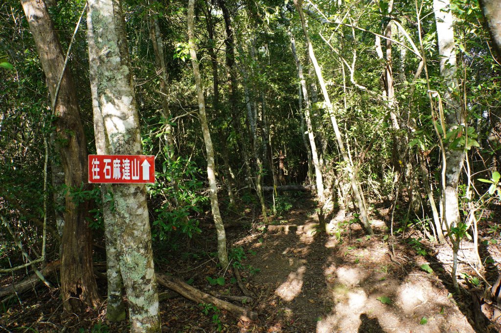 新竹 尖石 屯野生台山、石麻達山、錦屏山_2904262