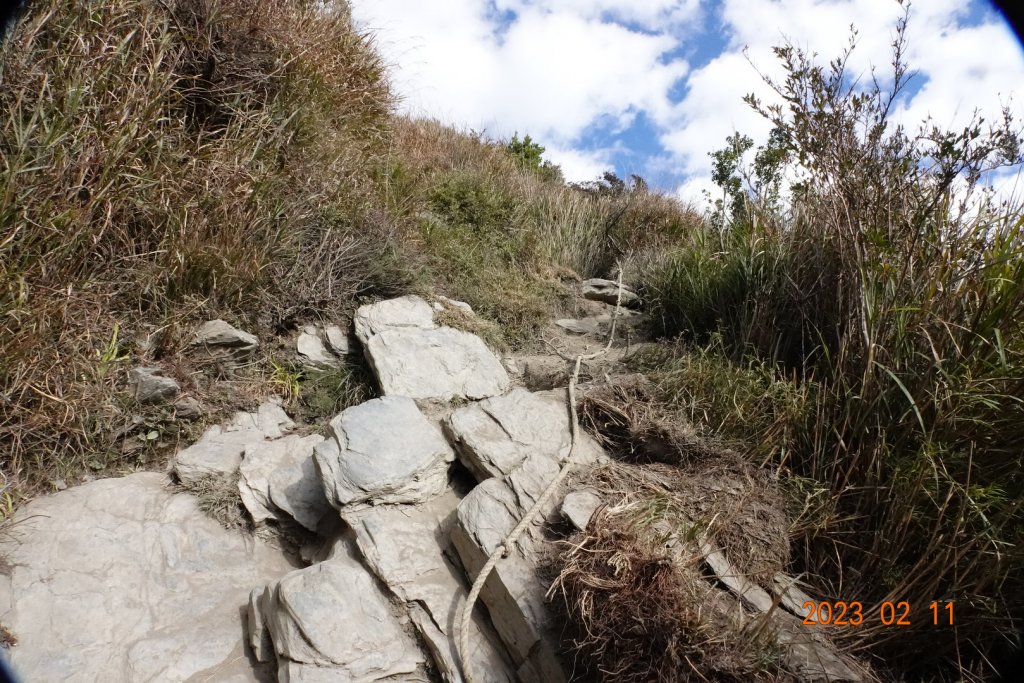 高雄 桃源 關山嶺山_2031249