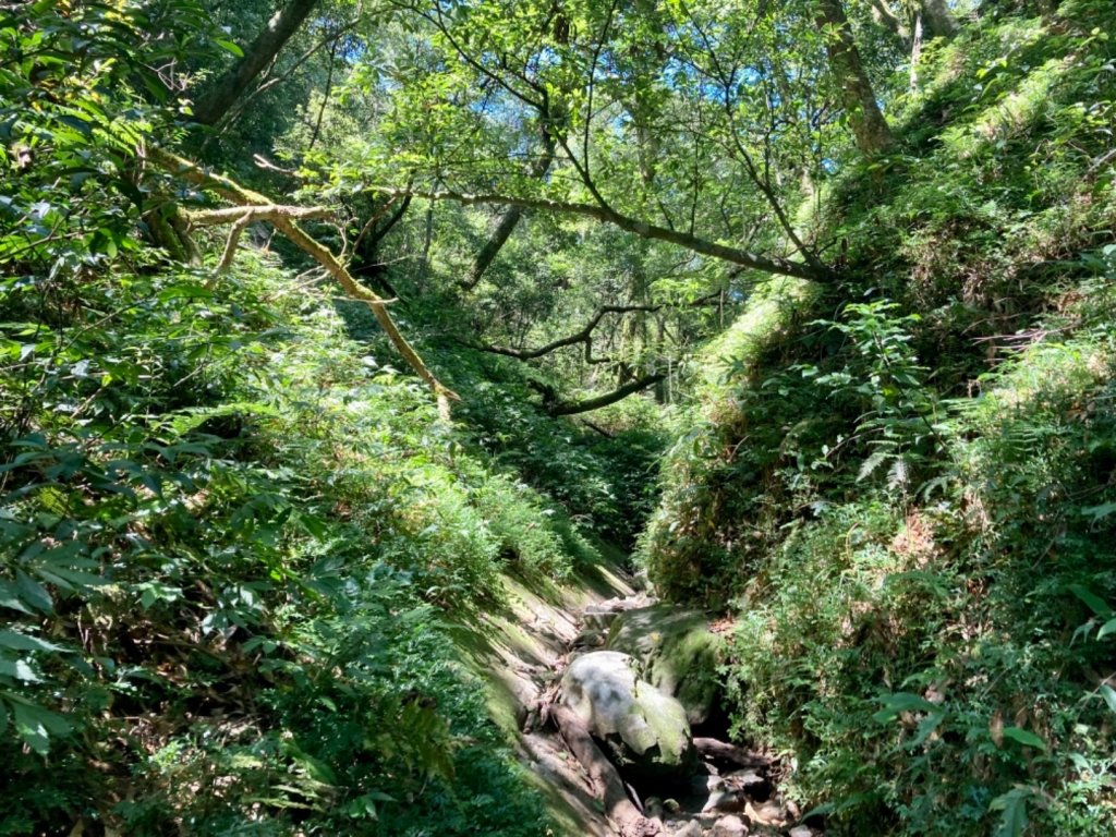 拔刀爾山_1778074