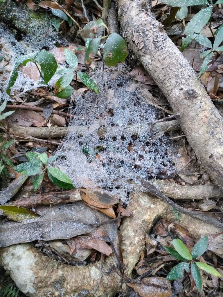 雪季北得拉曼_2956378