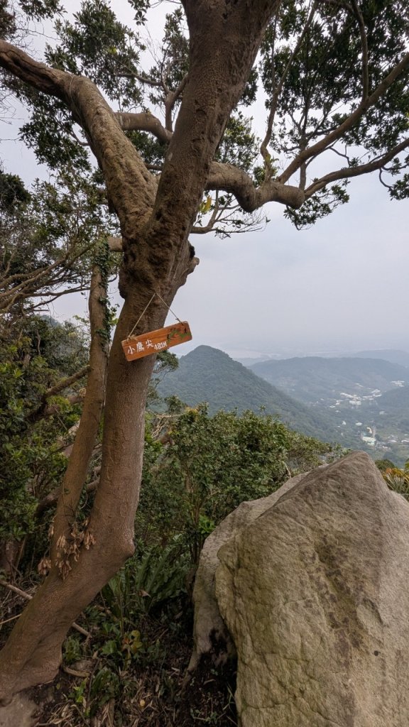 113.12.28小鷹尖-關山嶺-五八山-凌雲尖-龍女岩之旅封面圖