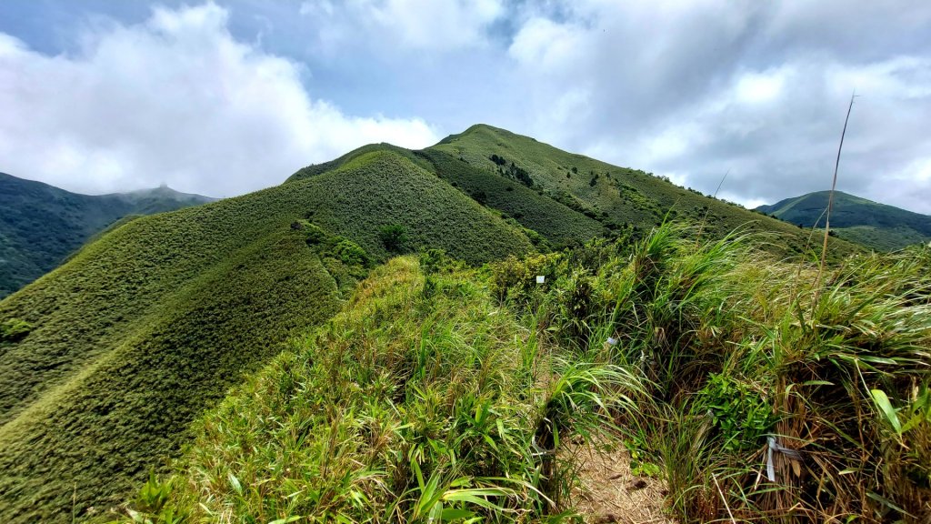 值得深入探索、細細品味的台北抹茶山_1983509