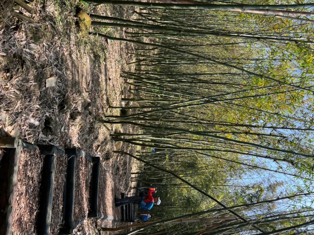 走遍陽明山尋寶任務/環陽明山人車分道陽金、小油坑、冷水坑、中山樓_2071196