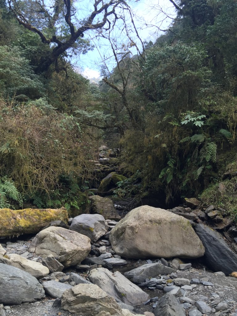 散落的珍珠-加羅湖_564992