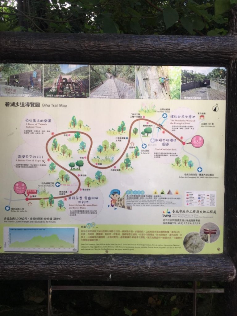 碧湖步道封面圖