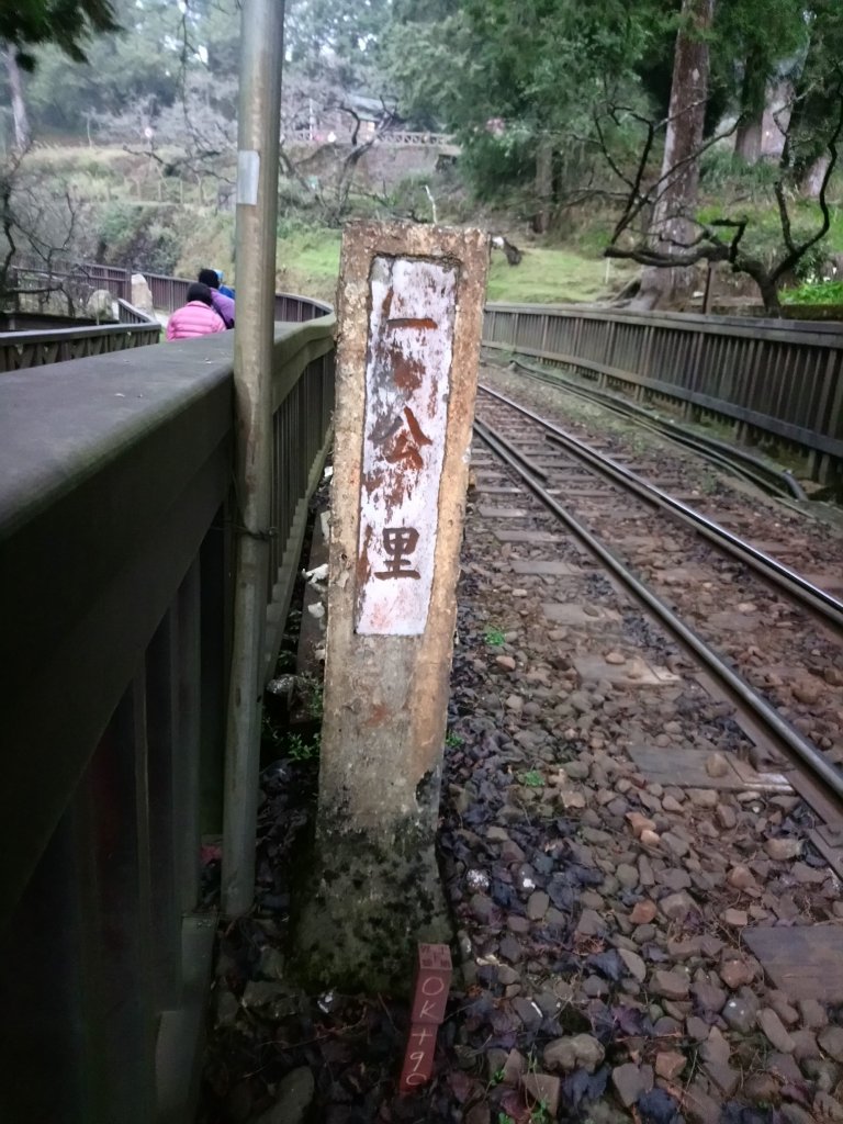 森林鐵道_543438