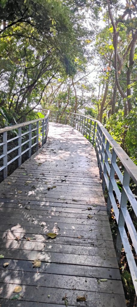 林梢步道_2700680